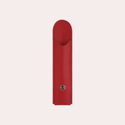 Best S.T. Dupont Pen case Red
